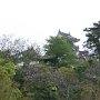 高知市内に戻って，高知城へ向かってみた．近付けば近付くほど木に隠れて見えなくなる？ｗ