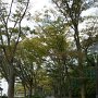 浜松城公園．