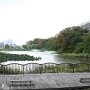 久保田城跡の千秋公園．．